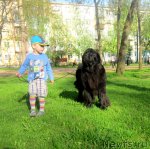 Превью фото № 94865