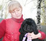 Превью фото № 94879