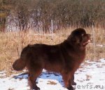 Превью фото № 94887