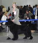 Превью фото № 9490