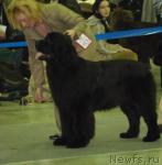 Превью фото № 9501