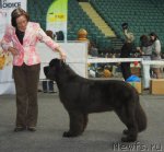 Превью фото № 95028