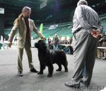 Превью фото № 95042