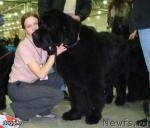 Превью фото № 9517