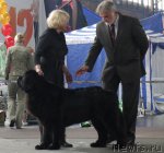 Превью фото № 95174