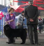 Превью фото № 95176