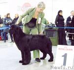 Превью фото № 9521