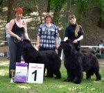 Превью фото № 95243