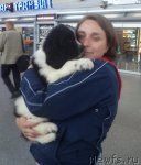 Превью фото № 95300