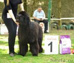 Превью фото № 95450