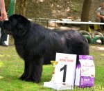 Превью фото № 95464