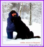 Превью фото № 95728