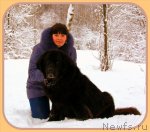 Превью фото № 95729