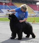 Превью фото № 95807