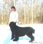 Превью фото № 95923