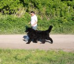 Превью фото № 96014