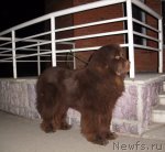 Превью фото № 96044