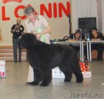 Превью фото № 96198