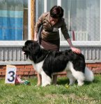 Превью фото № 96270