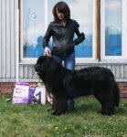 Превью фото № 96272