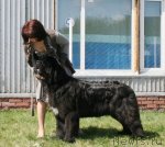 Превью фото № 96284