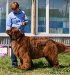 Превью фото № 96285