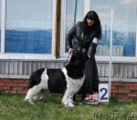 Превью фото № 96435