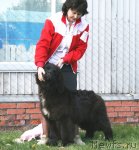 Превью фото № 96466