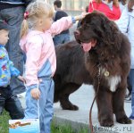 Превью фото № 96545