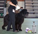 Превью фото № 96570