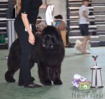 Превью фото № 96573