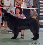 Превью фото № 96574