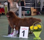 Превью фото № 96580