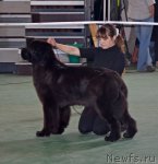 Превью фото № 96585