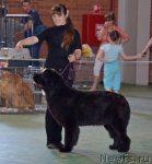 Превью фото № 96589