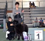 Превью фото № 96590