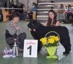 Превью фото № 96591