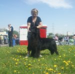 Превью фото № 96596