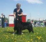 Превью фото № 96597