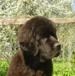 Превью фото № 96751