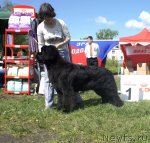 Превью фото № 96994