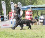 Превью фото № 97005