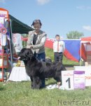 Превью фото № 97017