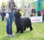 Превью фото № 97033