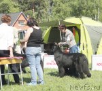 Превью фото № 97037