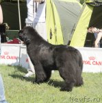 Превью фото № 97043