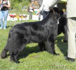 Превью фото № 97124