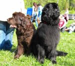 Превью фото № 97126