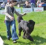 Превью фото № 97222