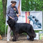 Превью фото № 97248